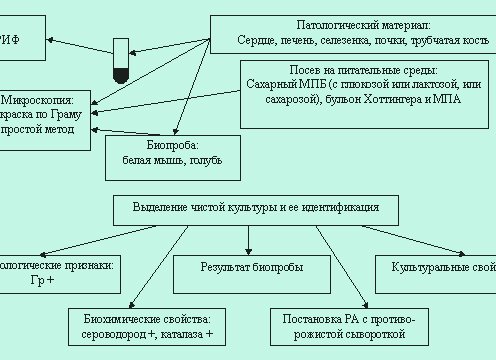 Главная