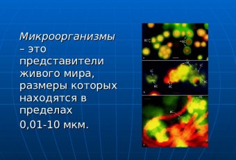 Предмет и Задачи Микробиологии